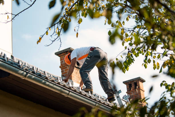 Best Chimney Flashing Repair  in Wrightwood, CA
