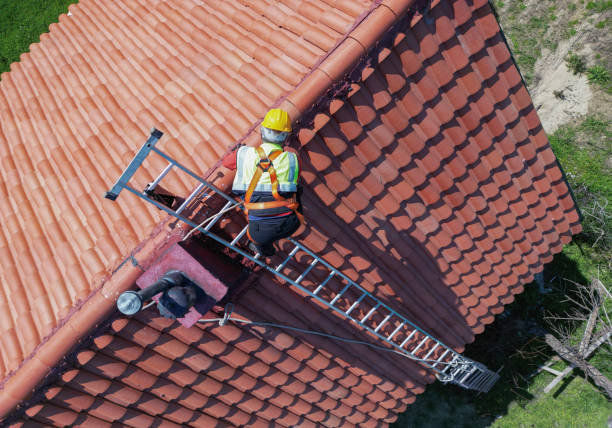 Best Roof Ventilation Installation  in Wrightwood, CA