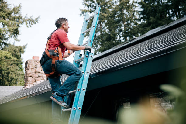 Best Solar Panel Roofing Installation  in Wrightwood, CA